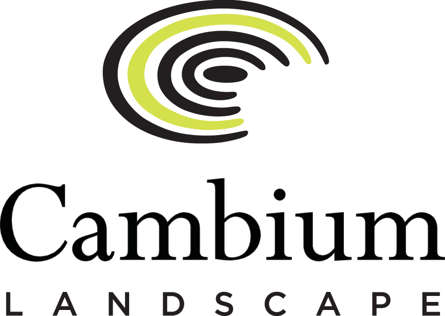Cambium Landscape
